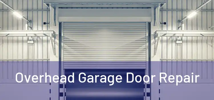 Overhead Garage Door Repair